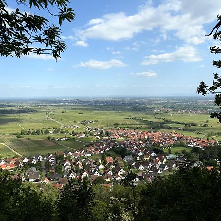 Ferienwohnung Am Ringelsberg Frankweiler Εξωτερικό φωτογραφία