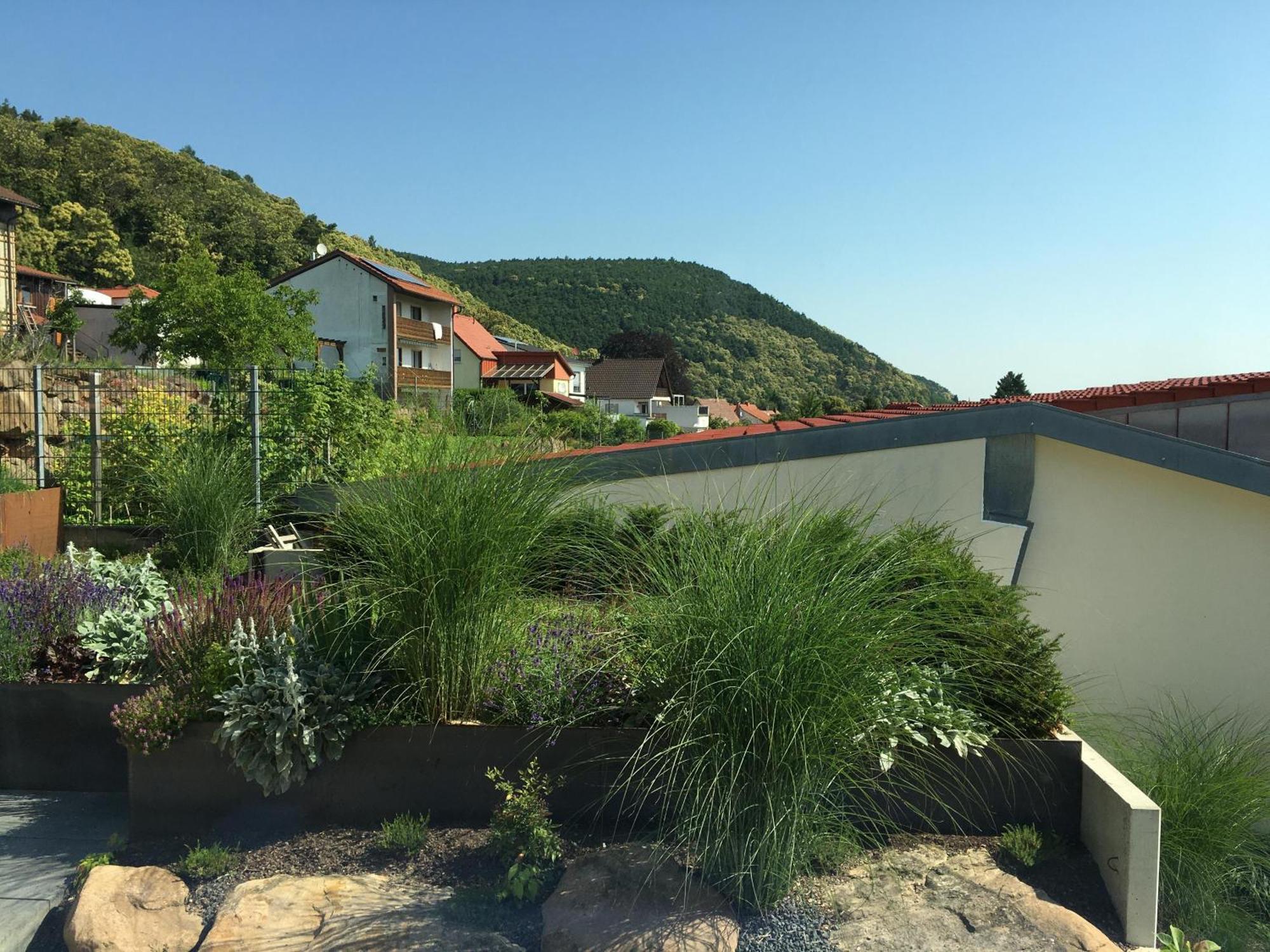 Ferienwohnung Am Ringelsberg Frankweiler Εξωτερικό φωτογραφία
