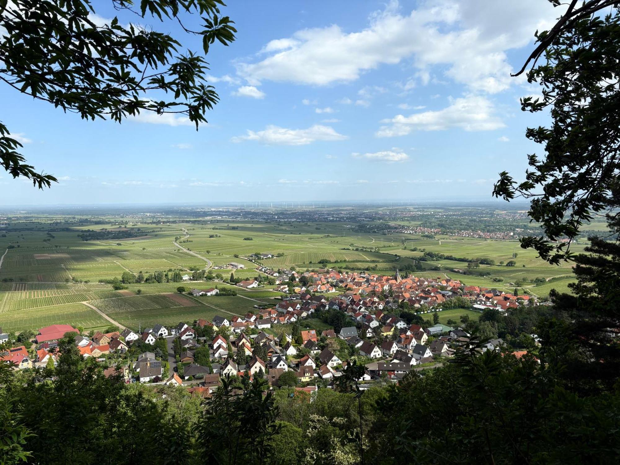 Ferienwohnung Am Ringelsberg Frankweiler Εξωτερικό φωτογραφία